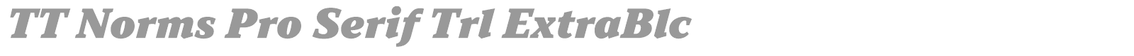 TT Norms Pro Serif font preview